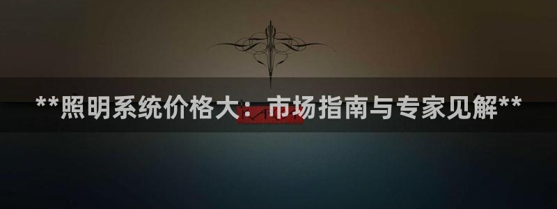 千亿国际手机登录版：**照明系统价格大：市场指南与专家见解**