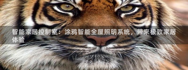 千亿国际集团怎么样:智能家居控制室:涂鸦智能全屋照明系统,带来极致家居
体验