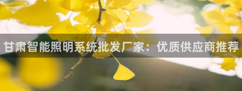千亿国际促经济:甘肃智能照明系统批发厂家:优质供应商推荐