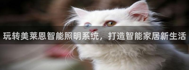 千亿国际是做什么的公司:玩转美莱恩智能照明系统,打造智能家居新生活