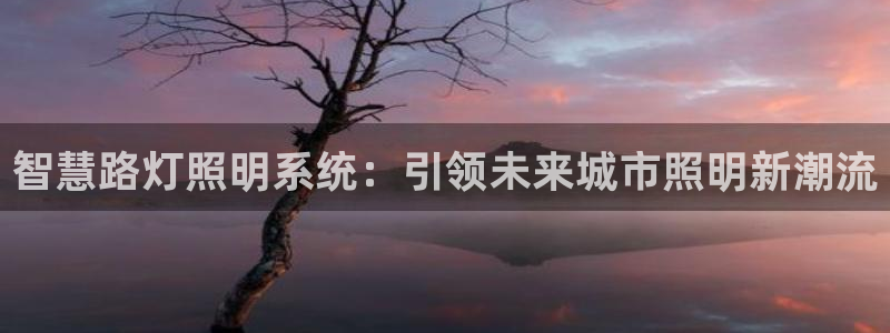 千亿国际中国官方：智慧路灯照明系统：引领未来城市照明新潮流