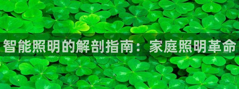 千亿国际休育：智能照明的解剖指南：家庭照明革命