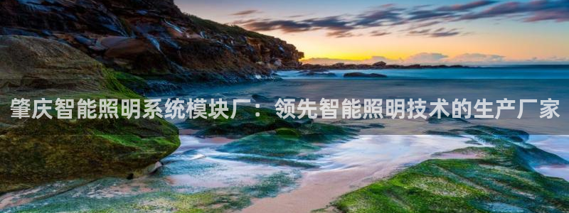 千亿国际官方网站:肇庆智能照明系统模块厂:领先智能照明技术的生产厂家