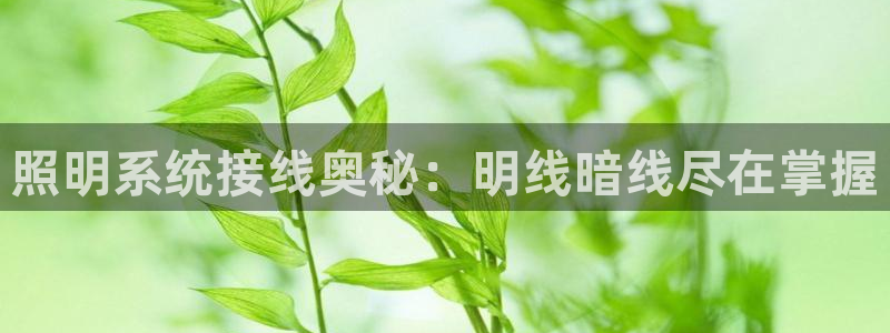 千亿国际打彩是真的吗:照明系统接线奥秘:明线暗线尽在掌握