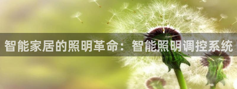千亿国际内蒙圣懿团队成员名单:智能家居的照明革命:智能照明调控系统
