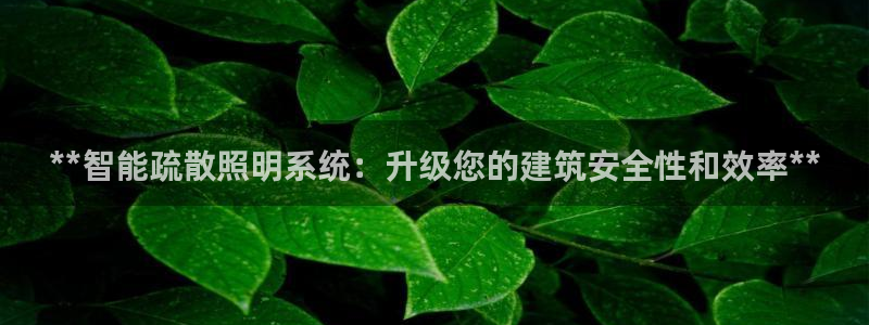 千亿国际qy886:**智能疏散照明系统:升级您的建筑安全性和效率**