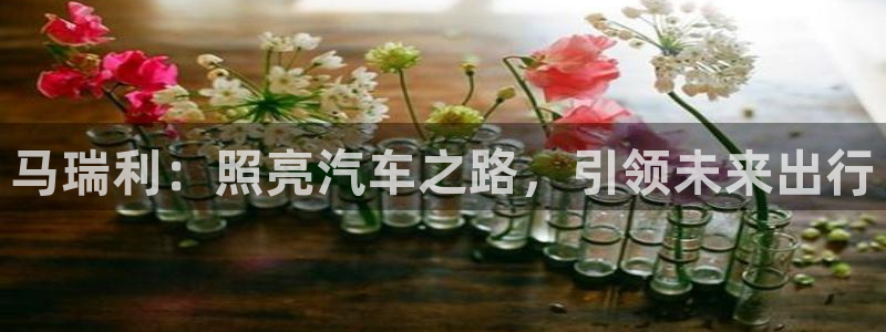 千亿国际客户端正版:马瑞利:照亮汽车之路,引领未来出行