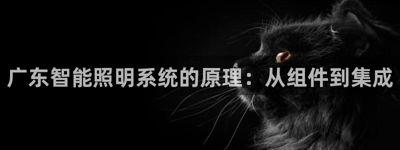 千亿国际手机版下载官网:广东智能照明系统的原理:从组件到集成