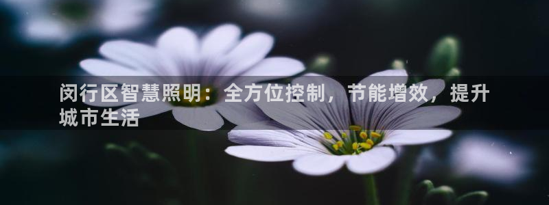 千亿国际游戏千亿官网:闵行区智慧照明:全方位控制,节能增效,提升
城市生活