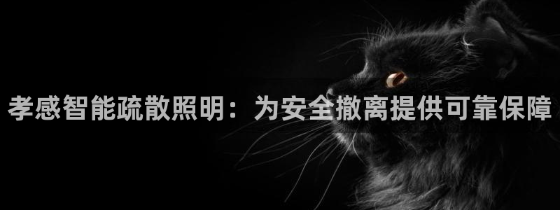 千亿国际公司网址：孝感智能疏散照明：为安全撤离提供可靠保障