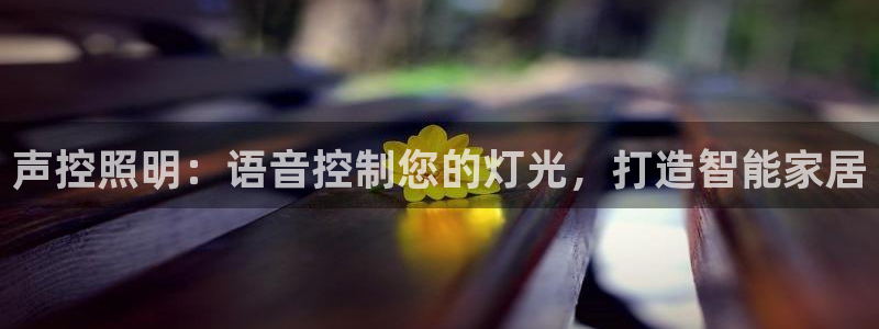 千亿国际账号登录官网:声控照明:语音控制您的灯光,打造智能家居
