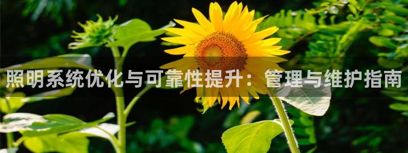 千亿国际车载冰箱:照明系统优化与可靠性提升:管理与维护指南