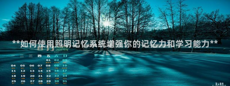 千亿国际芯片:**如何使用照明记忆系统增强你的记忆力和学习能力**