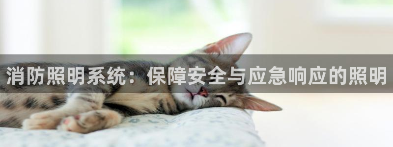 千亿国际唯一平台 - 千亿国际手机网页登录:消防照明系统:保障安全与应急响应的照明