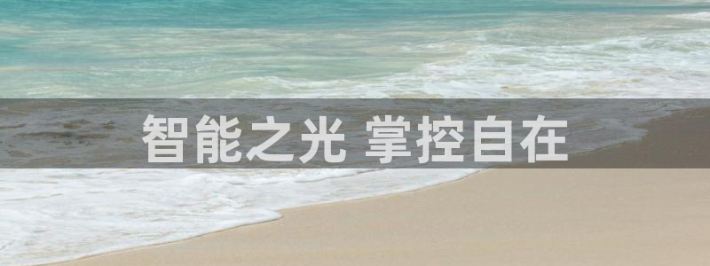 千亿国际平台是什么平台：智能之光 掌控自在