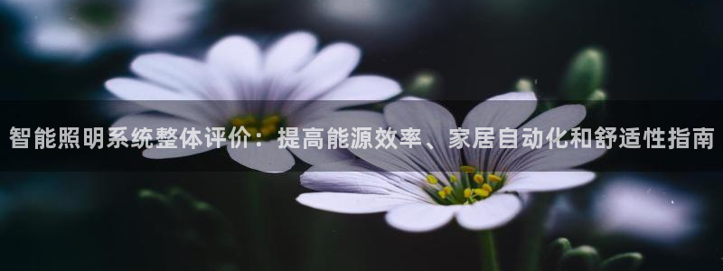 千亿国际官方网站是什么:智能照明系统整体评价:提高能源效率、家居自动化和舒适性指南