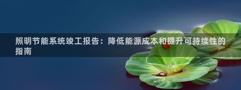 千亿国际的官网:照明节能系统竣工报告:降低能源成本和提升可持续性的
指南