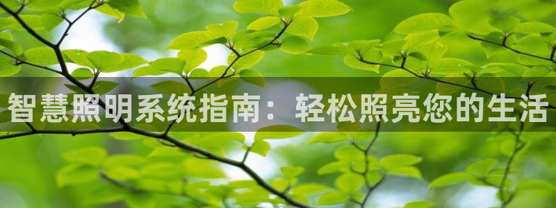 千亿国际车载冰箱:智慧照明系统指南:轻松照亮您的生活