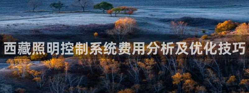 千亿国际官方网站:西藏照明控制系统费用分析及优化技巧