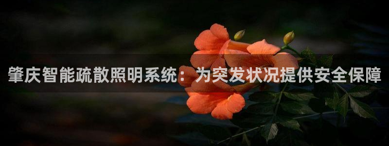 千亿国际手机官网app:肇庆智能疏散照明系统:为突发状况提供安全保障