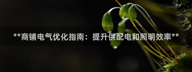 千亿国际2023官方版-3.22 Inurl:fayunsi:**商铺电气优化指南:提升供配电和照明效率**