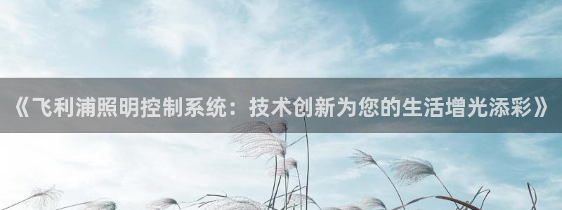 千亿国际手机登录版下载：《飞利浦照明控制
