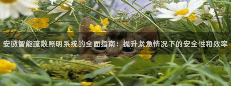 qy98千亿国际手机登录:安徽智能疏散照明系统的全面指南:提升紧急情况下的安全性和效率