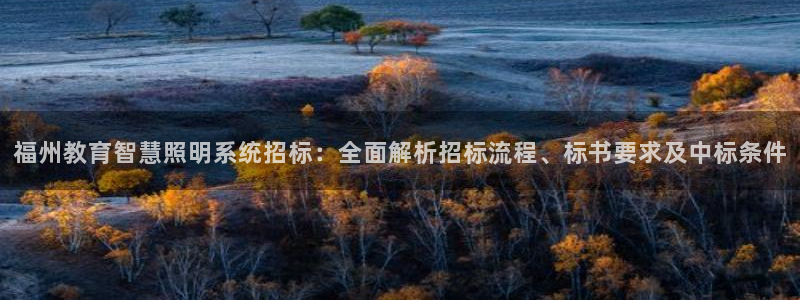 千亿国际的官网入口:福州教育智慧照明系统招标:全面解析招标流程、标书要求及中标条件