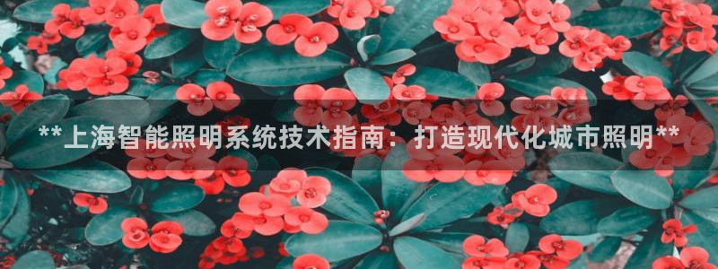 千亿国际线粒体:**上海智能照明系统技术指南:打造现代化城市照明**