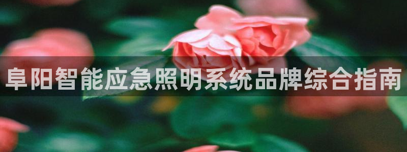 千亿国际服务平台怎么样:阜阳智能应急照明系统品牌综合指南