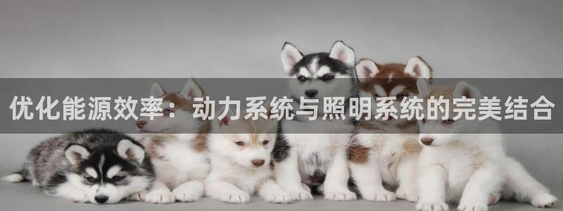 千亿国际平台是真是假：优化能源效率：动力
