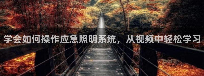 千亿国际服务平台：学会如何操作应急照明系统，从视频中轻松学习