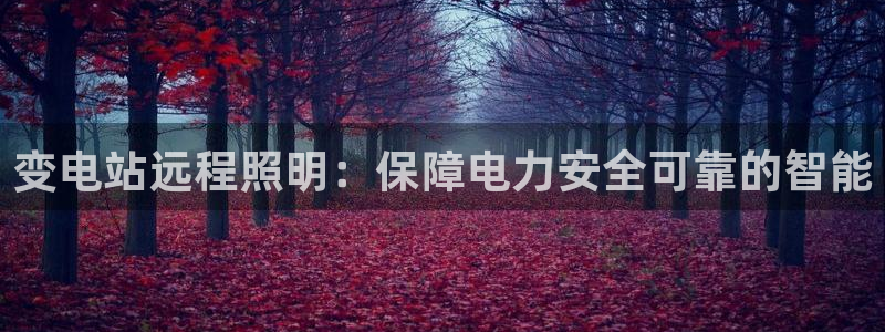 千亿国际qy996：变电站远程照明：保障电力安全可靠的智能